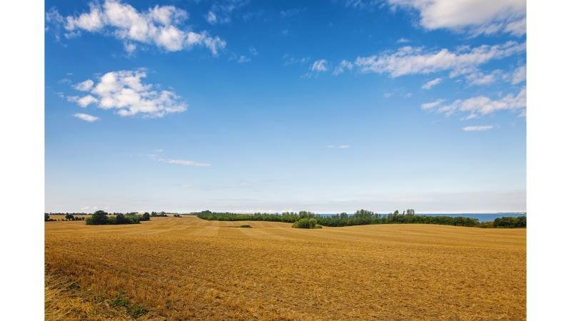 Evaluating Operational Risks in Agricultural Management