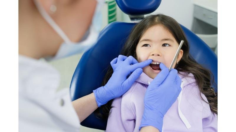 How Family Health Environments Influence Attitudes Toward Dental Care